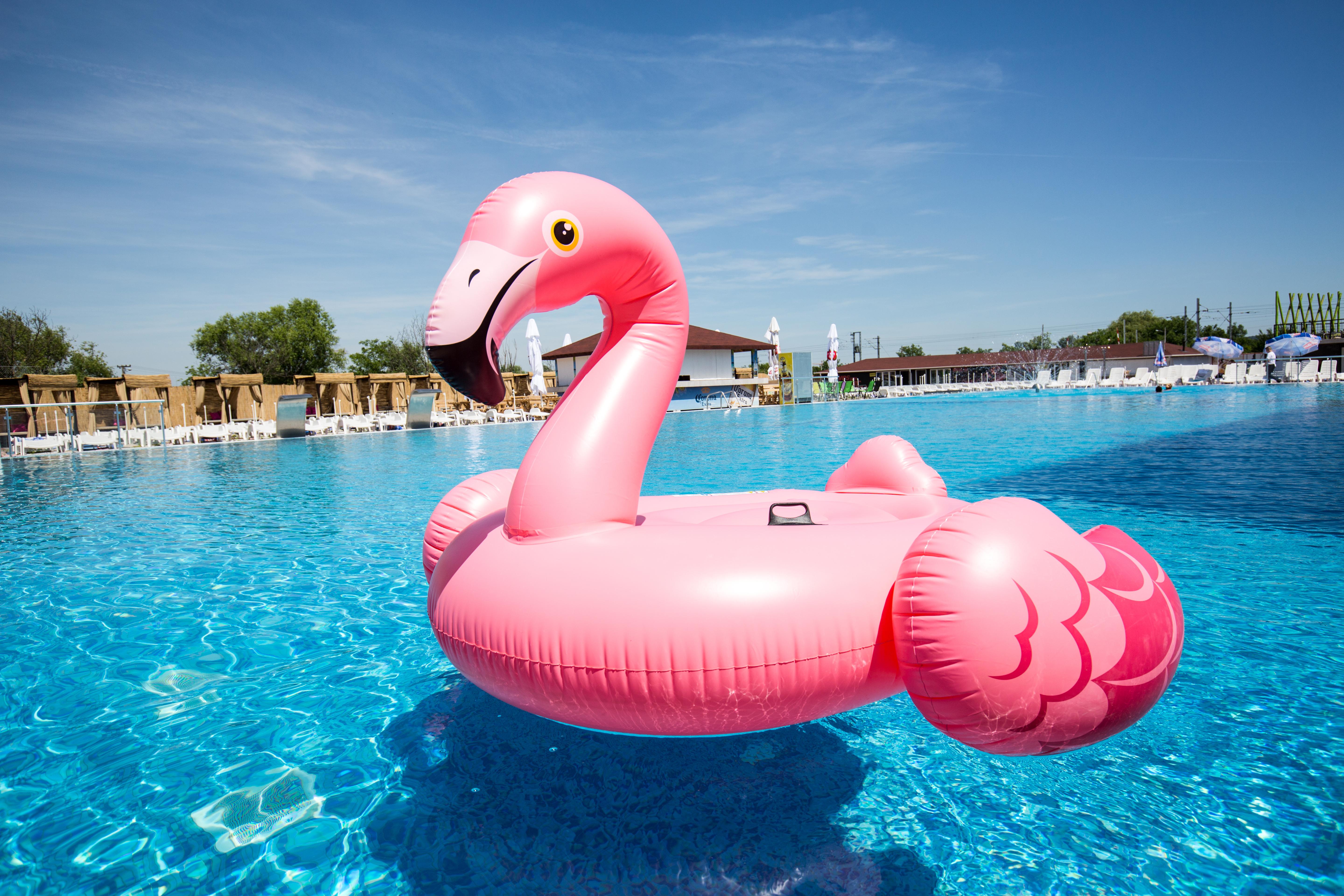 Flamingo Resort Belgrad Zewnętrze zdjęcie